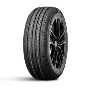 Doublestar 195/55/16 V 87 DH05